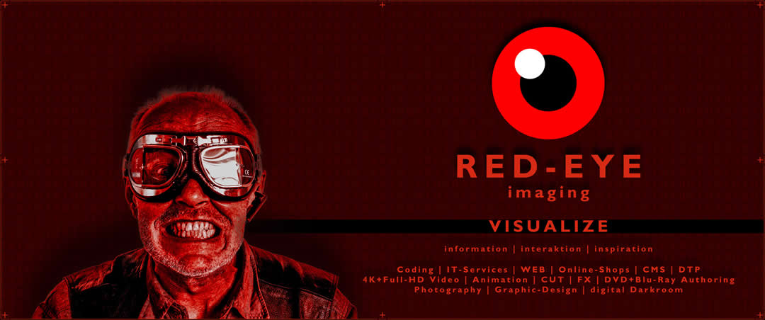 Marienkäfer | Arbeit für einen Kunden (2002)