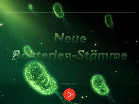 Neue Bakterien-Stämme (Kundenarbeit)