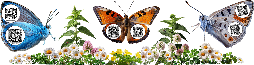 Wiese-mit-QR-Schmetterlingen für das Event unkraut frei® (2025)
